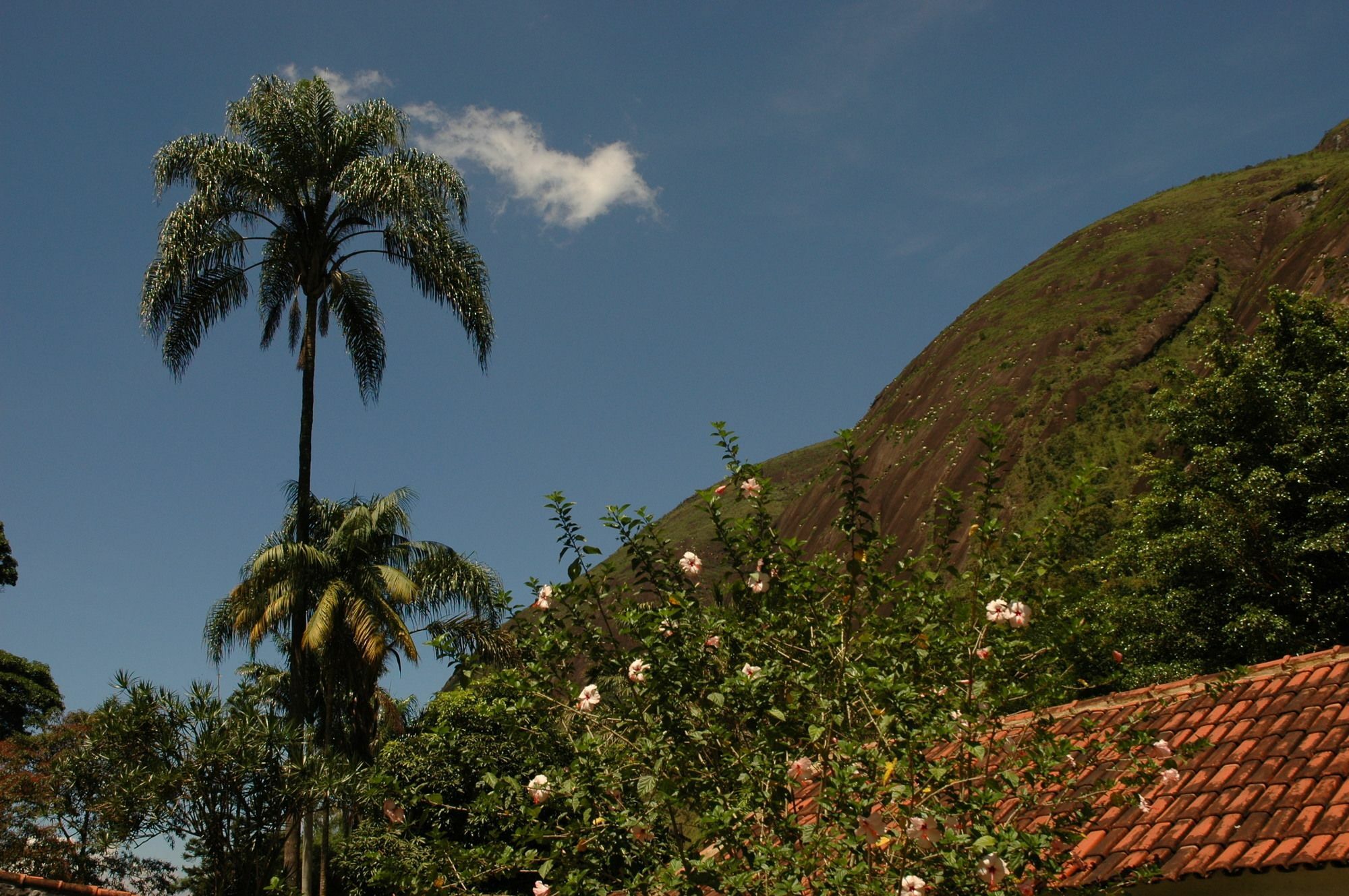 Hotel Pedra Bonita Petrópolis Exteriör bild